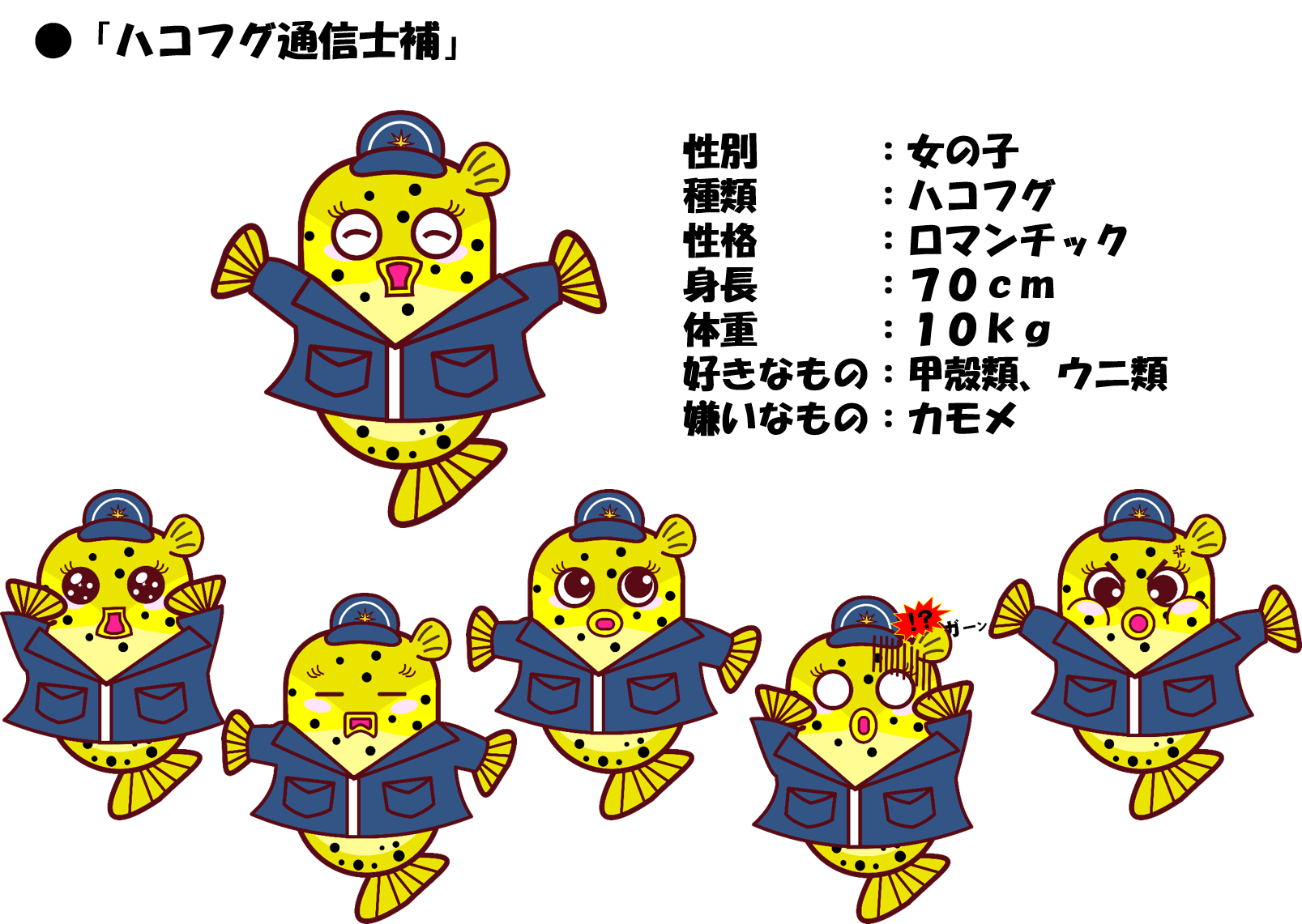 ハコフグ通信士補