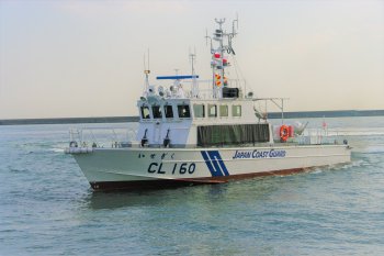 CL160 いせぎく.jpg