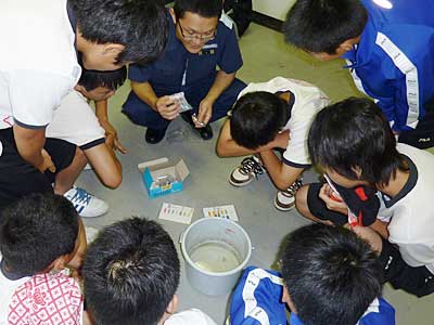 水質実験　岸和田