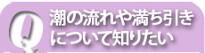 潮汐潮流のことなら海の相談室へ