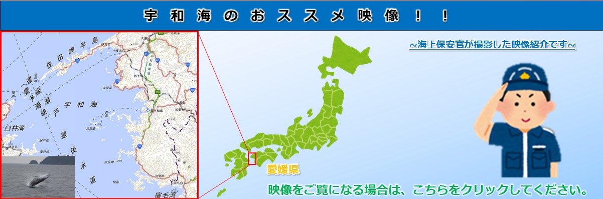 宇和海オススメ映像