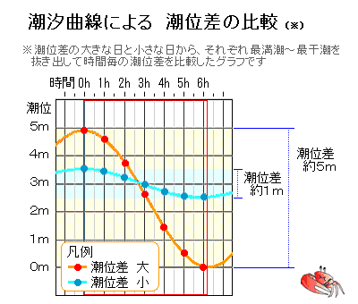 潮位差比較グラフ