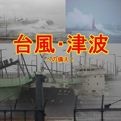 台風･津波への備え