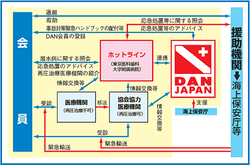 DAN JAPANzbgCT[rXTO}