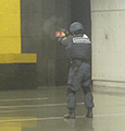 拳銃の部