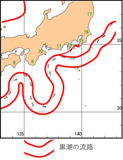 黒潮大蛇行時の海洋速報(抜粋)(2025年4月1日発行) 黒潮大蛇行時の海洋速報(抜粋)(2025年4月1日発行)