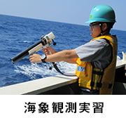 海象観測実習