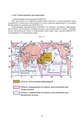 For the Safety Navigation In Japanese Coastal Waters